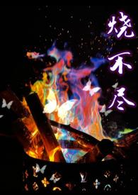 烧不尽by推文