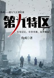 第九特区地图分布图