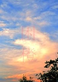 困城(男出轨H)/作者好页好耶