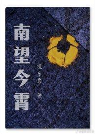 南望今霄作者檀东意