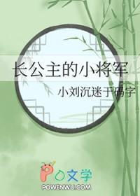 长公主的小将军百度链接
