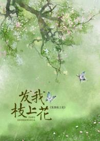 枝上花花下人 什么歌