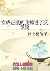 穿成正派的我掉进了反派窝里百度