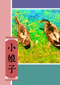 寒门小娘子动漫