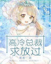 高冷总裁求复婚txt