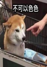 穿成年代文里的恶毒女配(高H) 恋曲