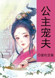 公主宠夫日常柳照