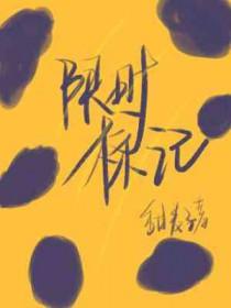 限量标记