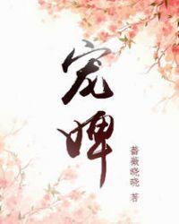 宠婢txt