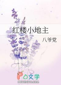 红楼小地主txt百度