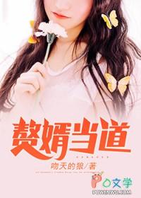 赘婿当道?