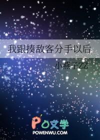 和揍敌客贴贴TXT精校版