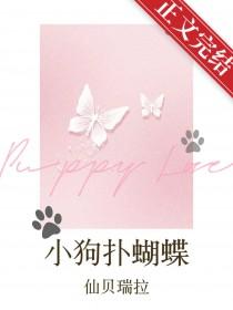 小狗在抓蝴蝶