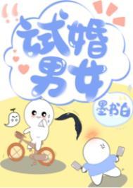 试婚都是啥