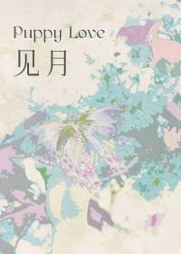 见字如面