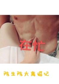 陈生陈太离婚记阅读