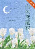 白色鸢尾花txt