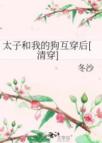 [红楼 清穿