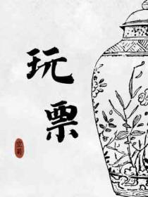 玩票by空菊笔趣阁讲的什么