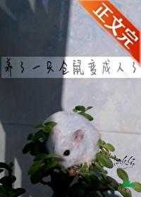 仓鼠换人养