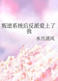 第一章 反叛系统