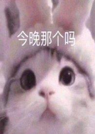 买可乐经历