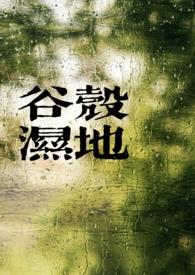 谷壳宝官方最新版