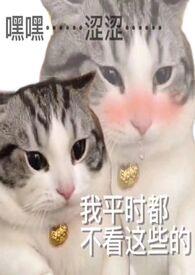 炉甘石用法