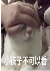 圈养蔷薇(纯百骨科np)全