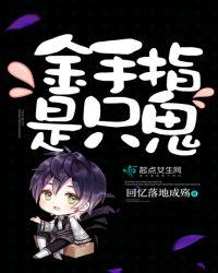 各类金手指