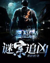 谜案追凶丁勇岱版