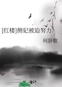 侧妃是妾吗