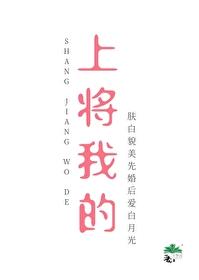 我上将的身份