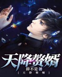 有声天降赘婿