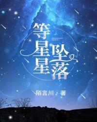 等星星坠落by