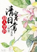 路人甲清穿日子