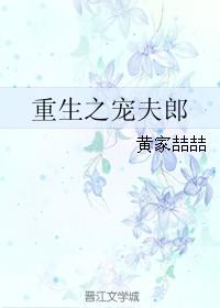 重生之宠夫现代文