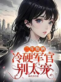 冷硬军官别太宠讲的是什么