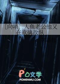 人鱼老公