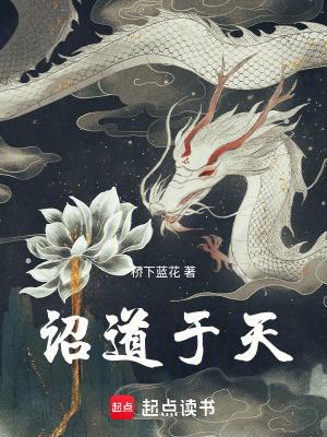 诏道于天境界划分