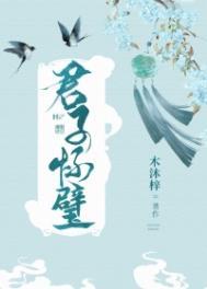 君子怀璧全文免费