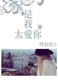 是我太爱你吗