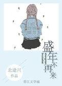 盛年不重来后面的一句