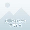 全民领主我能看到隐藏序列