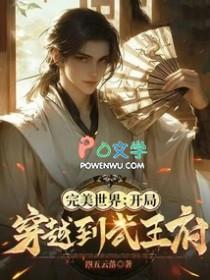 穿越在完美世界位面
