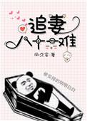 追妻追不回免费阅读