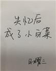 失忆后成了小白菜日