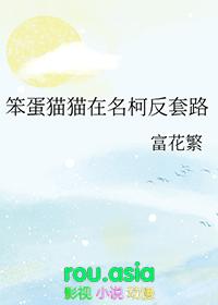 笨蛋知乎