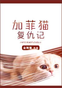 加菲猫复仇记金刚圈txt百度