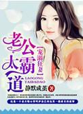 宠妻如命霸道老公太给力